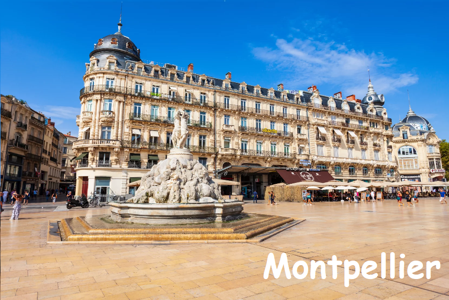 MontpellierZ